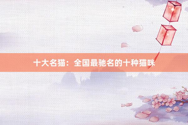 十大名猫：全国最驰名的十种猫咪